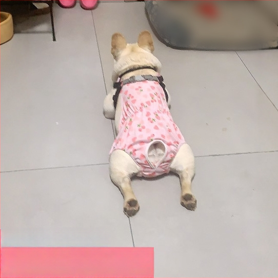 Пелени за женски кучета – копринен външен слой, подплата от зайча козина, средна талия, физиологични нужди