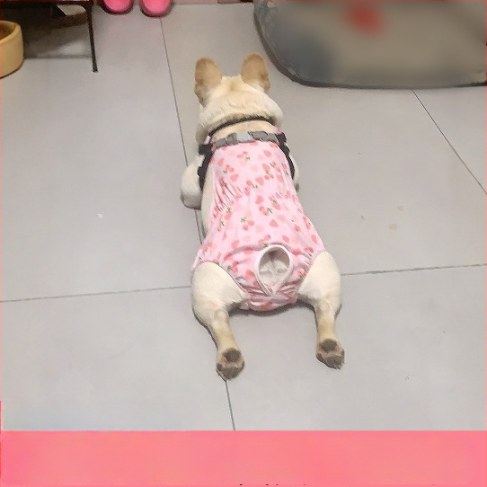 Пелени за женски кучета – копринен външен слой, подплата от зайча козина, средна талия, физиологични нужди