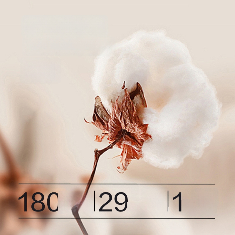 Moteriškos storos 100% medvilnės termines kelnes, vieno sluoksnio, išlaiko šilumą