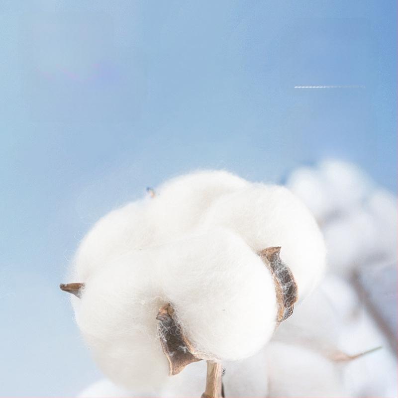 Terminis pagrindinis komplektas porai: ilgomis rankovėmis viršutinė dalis ir kelnės, 90–95% medvilnė, storis 251–300 g/m², antibakterinis, šiltas, ruduo 2024