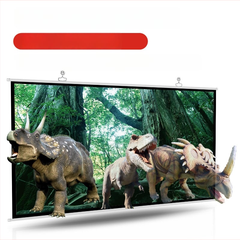 VEIDADZ 100-inčni prijenosni zidni projekcijski ekran, 3D-ready HD, bijeli plastični ekran