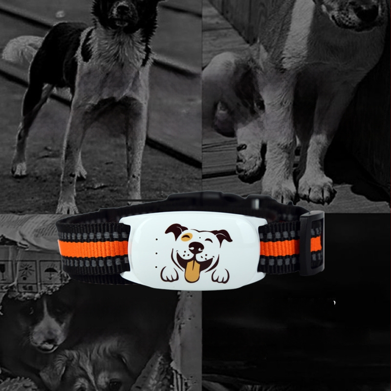 Локатор за домашни любимци на каишка с 4G, съвместим с Android и iOS, 500 mAh, тегло 30 g, размери 31×61×16 мм