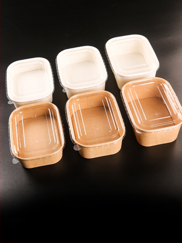 Jednokratna kutija od kraft papira pravokutnog oblika za dostavu hrane — voće, salate, ručak; 3 kg bruto težina; materijal: papir; oblik: pravokutnik; mikrovalna: Ne; razgradivo: Ne