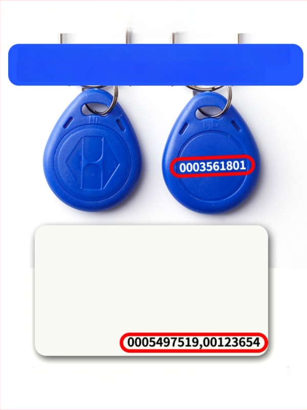 IC ligipääskaart ustele ja lifti jaoks, mudel ICID, elektrooniline uste kaart epoksiketi võtmehoidjaga; kasutusvaldkond: uksed ja lifid; materjal: muu