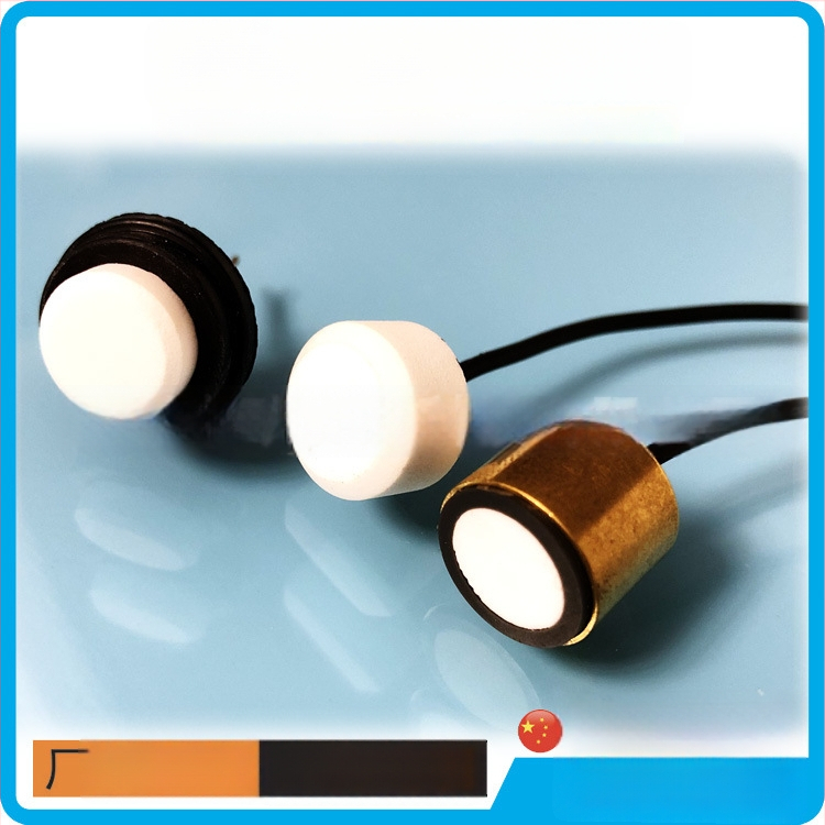 Ultraheli andur mõõtmise korrigeerimisega, kahekordne taseme mõõtmine, tuule kiirus ja suund ning vihma anduri ühilduvus; tundlikkus -80 dB, takistus 250 Ω, juhtmega ühendus, pasiivne väljund