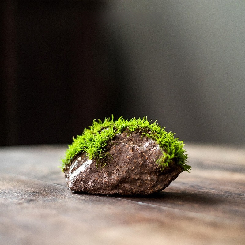 Декоративна водна композиция за бюро с бонсай — дзен микро пейзаж от копринени цветя