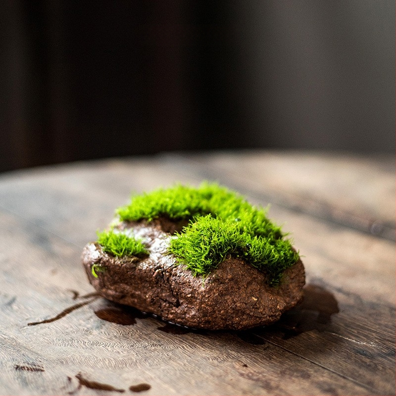 Декоративна водна композиция за бюро с бонсай — дзен микро пейзаж от копринени цветя