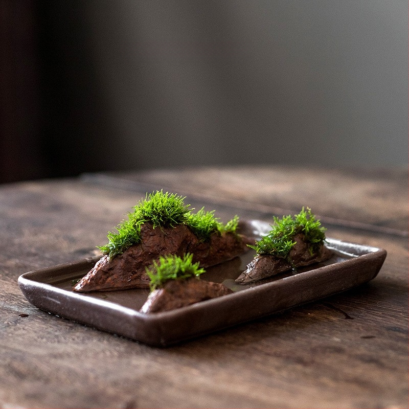 Декоративна водна композиция за бюро с бонсай — дзен микро пейзаж от копринени цветя