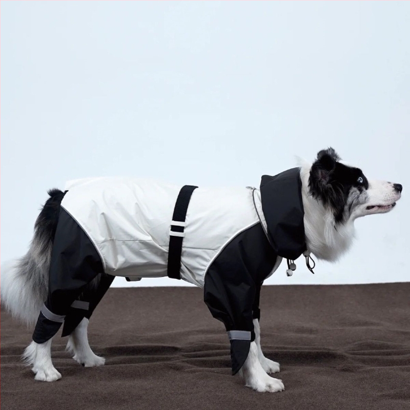 Zimska jakna za pse srednjih i velikih pasmina: labrador, samojed, border collie, zlatni retriver