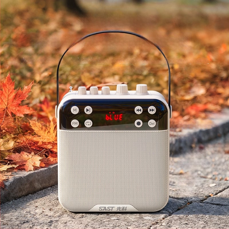 K29 Bluetooth zvučnik sa snimanjem za vanjski ples, 20W, BT 5.0, baterija 2000–4000 mAh, frekvencijski raspon 100 Hz–20 kHz, SNR ≥75 dB