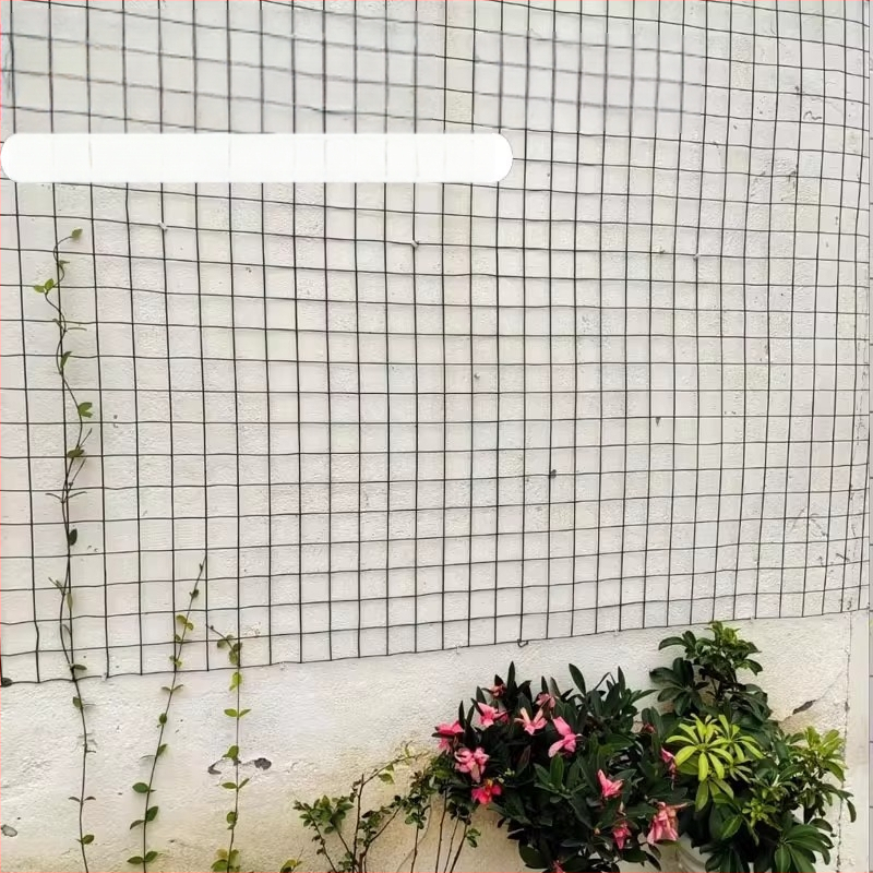 Mreža od žice s plastičnim premazom za penjačke biljke – mreža za zid za ruže, jasmin i vinovu lozu