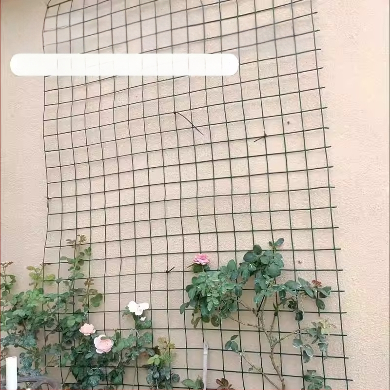 Mreža od žice s plastičnim premazom za penjačke biljke – mreža za zid za ruže, jasmin i vinovu lozu