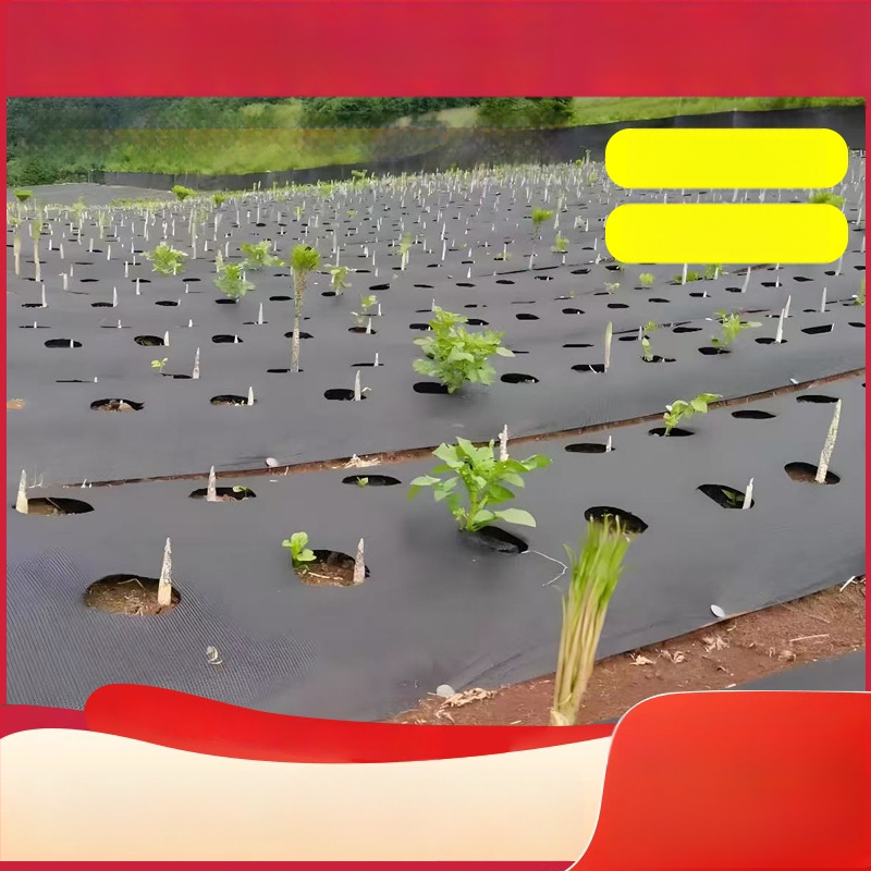 PE platno protiv korova za voćnjake i voćna stabla, perforirana podloga tla za citrusne plodove