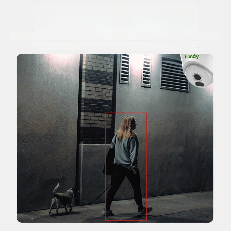 TD-C240N Cameră IP de interior, 3MP Viziune IR Noapte, POE, Obiectiv 4mm, pentru casă