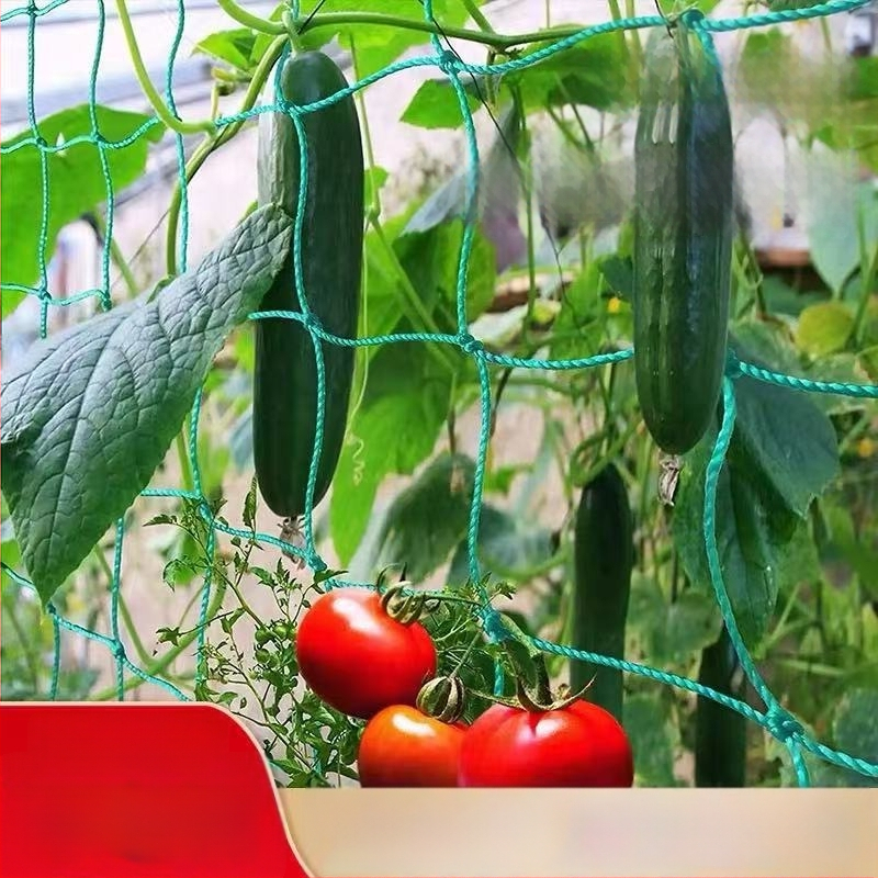 Penjačka mreža za biljke – podrška za uzgoj dinja, tikvi, grožđa, graha i marakuje
