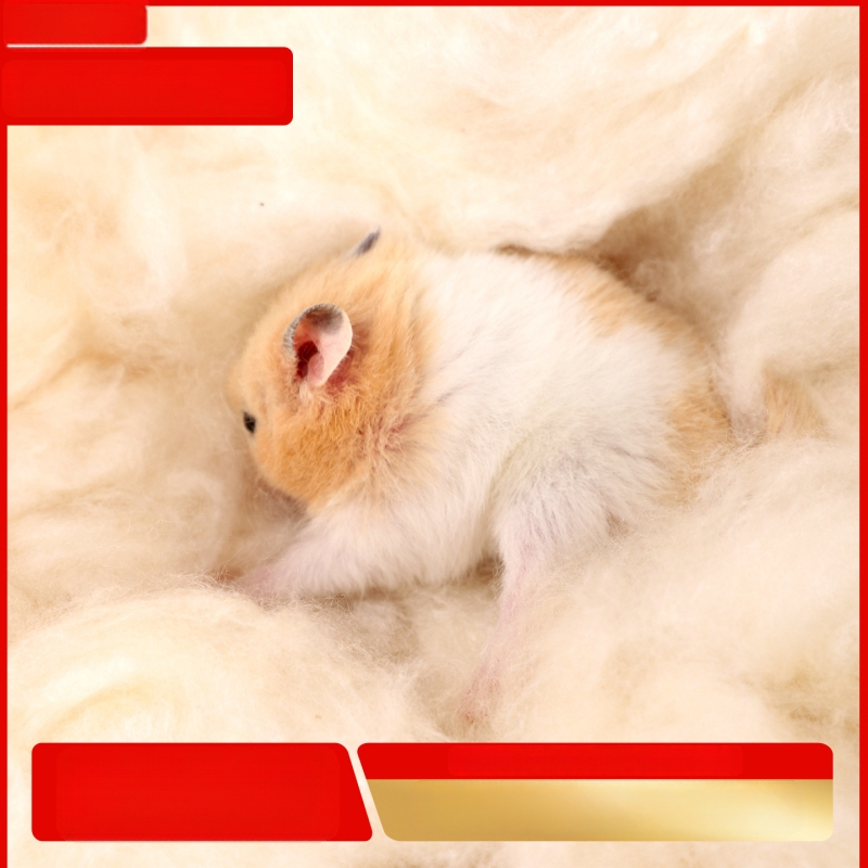Hamster kapok pamučna posteljina, zimska grijaća podloga za male kućne ljubimce, materijal: papir-pamučno vlakno, deodorirajuće drvene strugotine