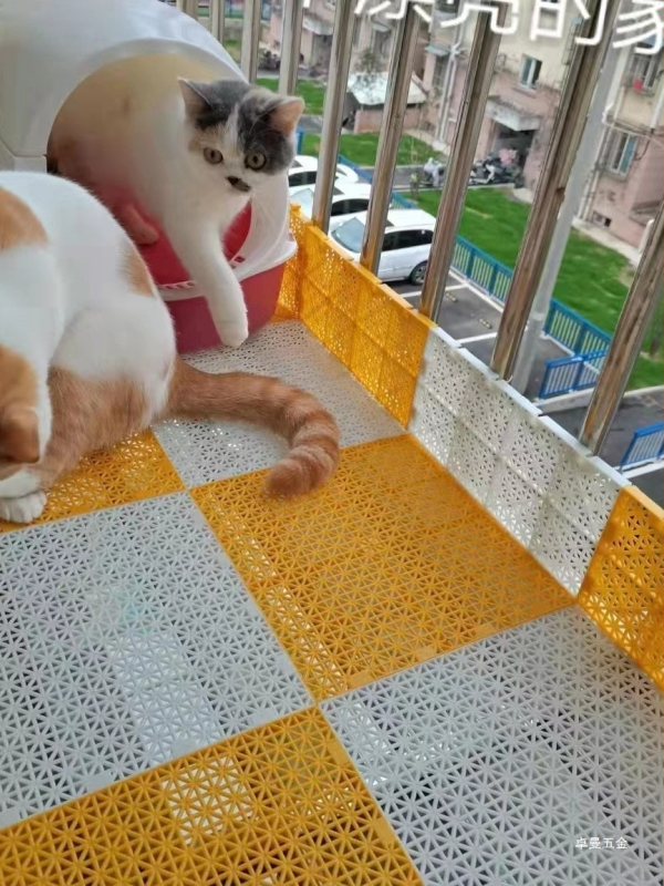 Антикражна прозоречна подложка с балконска защитна мрежа — защита на перваза, мрежа за саксии, пластмасова преграда