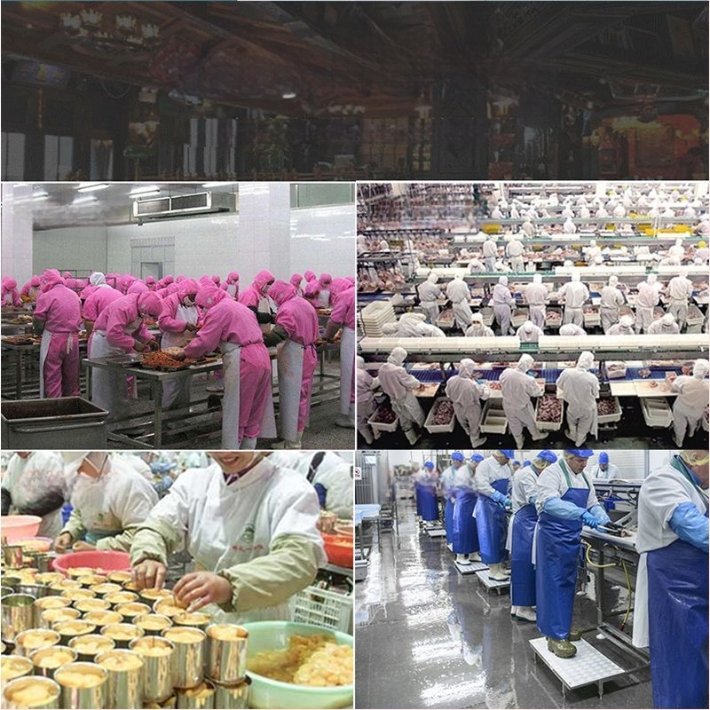 Uniszex élelmiszer-ipari esőcsizma, magas szárú PVC felsőrésszel, gumírozott talppal, olaj- és csúszásálló, egy darabból öntött talppal, minden évszakra