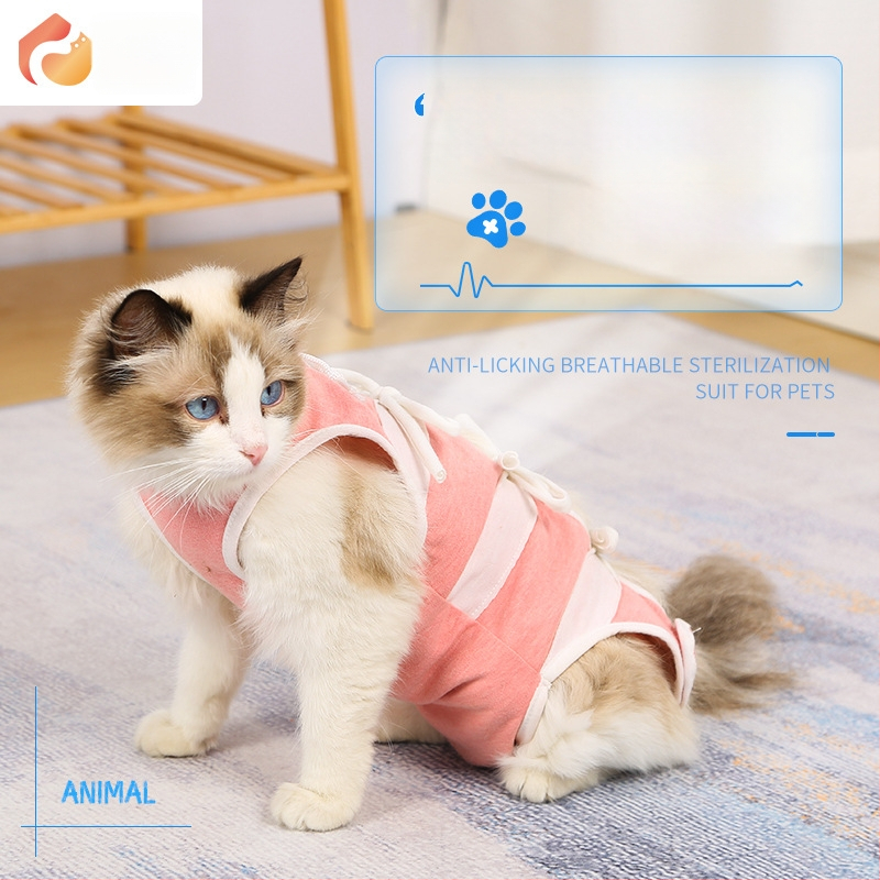 Ρούχο γάτας μετά τη στείρωση – αναπνεύσιμο βαμβακερό ρούχο για κατοικίδια με τρία σημεία στερέωσης: ελαστικό πουλόβερ, ιμάντας στην πλάτη, Velcro στην ουρά; προστατεύει από λοίμωξη, γλείψιμο και ροή γάλακτος; εφαρμοστό, αντι-τρίχες