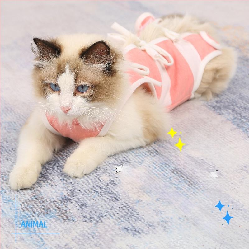 Ρούχο γάτας μετά τη στείρωση – αναπνεύσιμο βαμβακερό ρούχο για κατοικίδια με τρία σημεία στερέωσης: ελαστικό πουλόβερ, ιμάντας στην πλάτη, Velcro στην ουρά; προστατεύει από λοίμωξη, γλείψιμο και ροή γάλακτος; εφαρμοστό, αντι-τρίχες