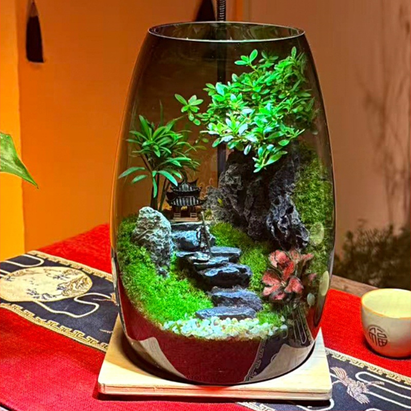 Sticlă ecologică cu micro peisaj de mușchi – ornament vegetal creativ pentru birou; sticlă borosilikat de înaltă calitate; formă: plantă; stil universal