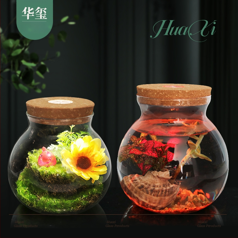 Vază hidroponică pentru plante din sticlă borosilicată înaltă, turnată, personalizabilă