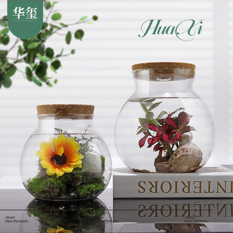 Vază hidroponică pentru plante din sticlă borosilicată înaltă, turnată, personalizabilă