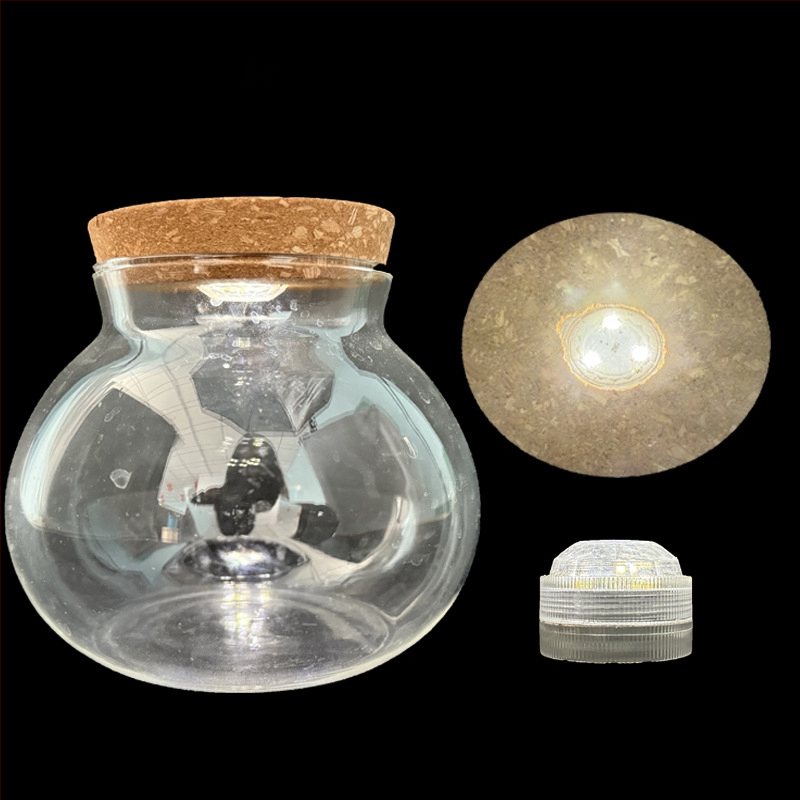 Vază hidroponică pentru plante din sticlă borosilicată înaltă, turnată, personalizabilă