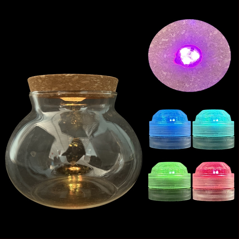 Vază hidroponică pentru plante din sticlă borosilicată înaltă, turnată, personalizabilă