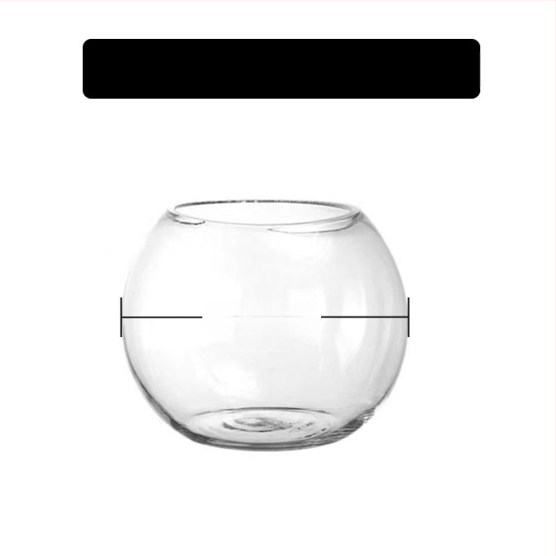 Vază circulară din sticlă pentru hidroponie cu suculente – sticlă suflată, suprafață lustruită, personalizabilă, imprimare a logo-ului