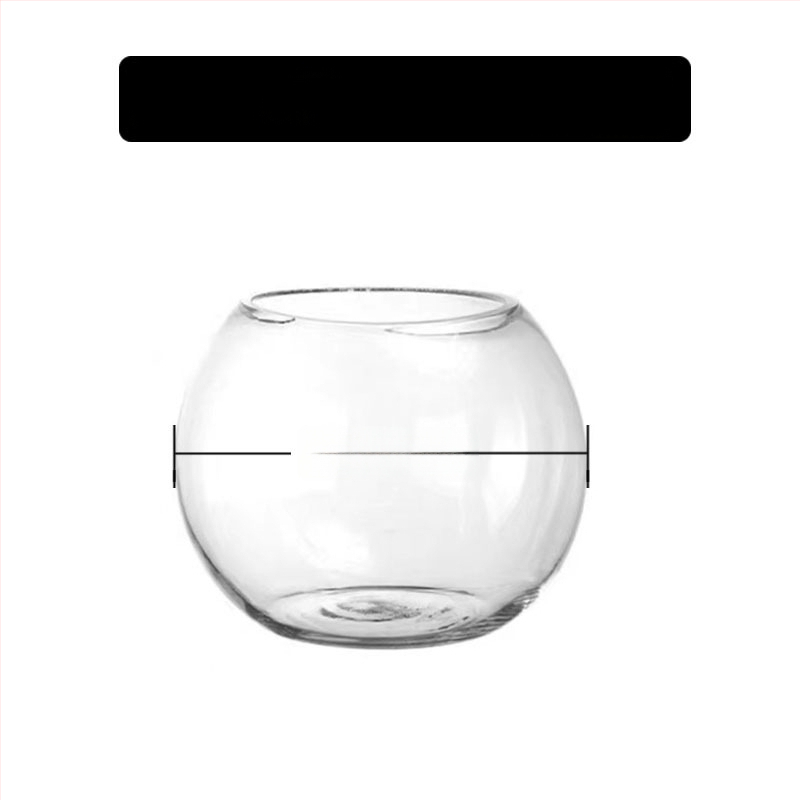 Vază circulară din sticlă pentru hidroponie cu suculente – sticlă suflată, suprafață lustruită, personalizabilă, imprimare a logo-ului