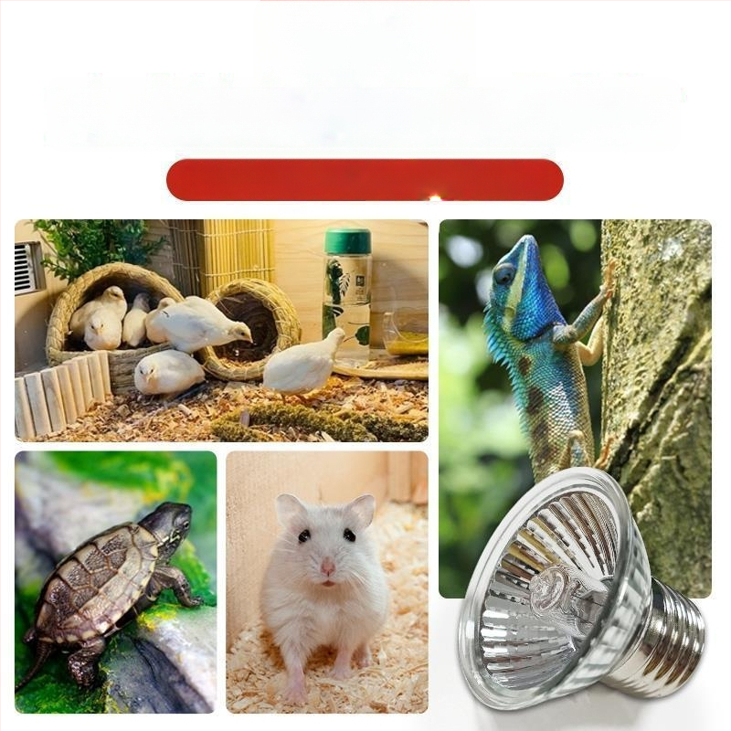 Lampă de încălzire cu termostat pentru creșterea păsărilor – pentru fazani, pui și papagali