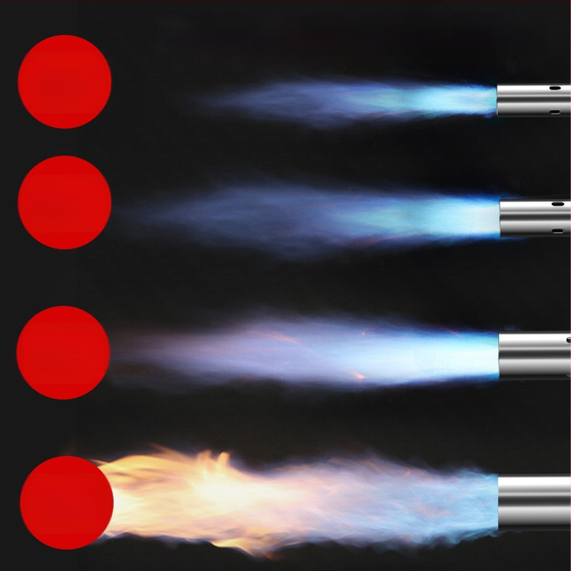 Delixi Electric rozsdamentes acél permetező pisztoly pig hair burning és vízálló védelem, különböző méretek