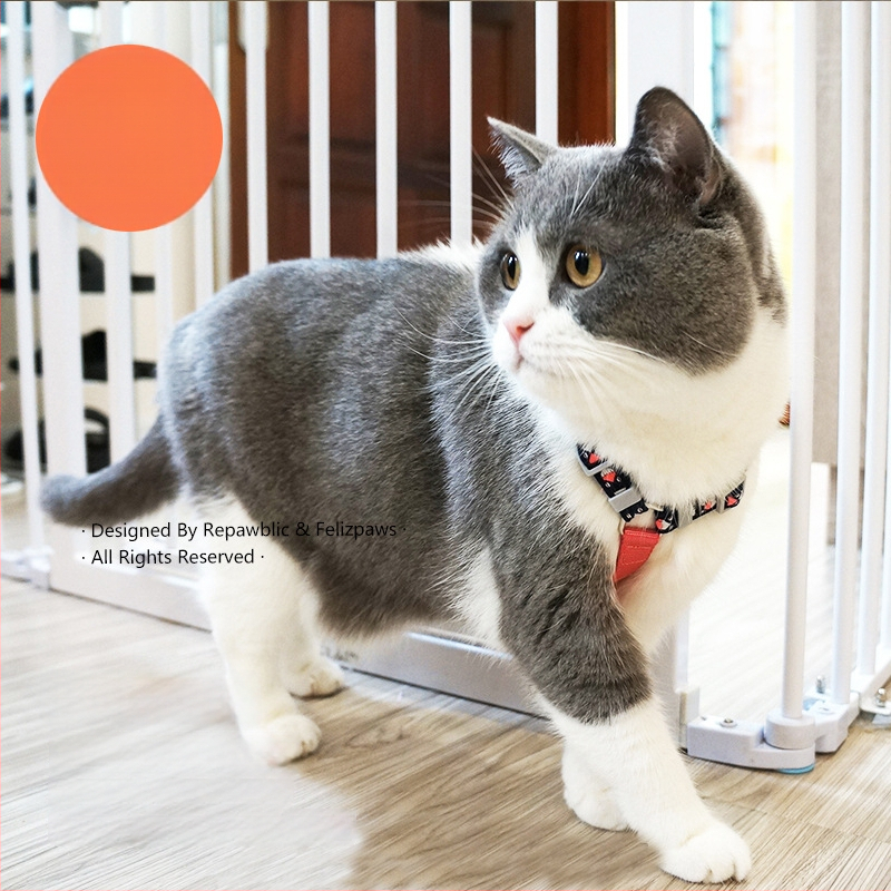 Macska mellkasi hám — vászon, Pickyorange, 300 darab