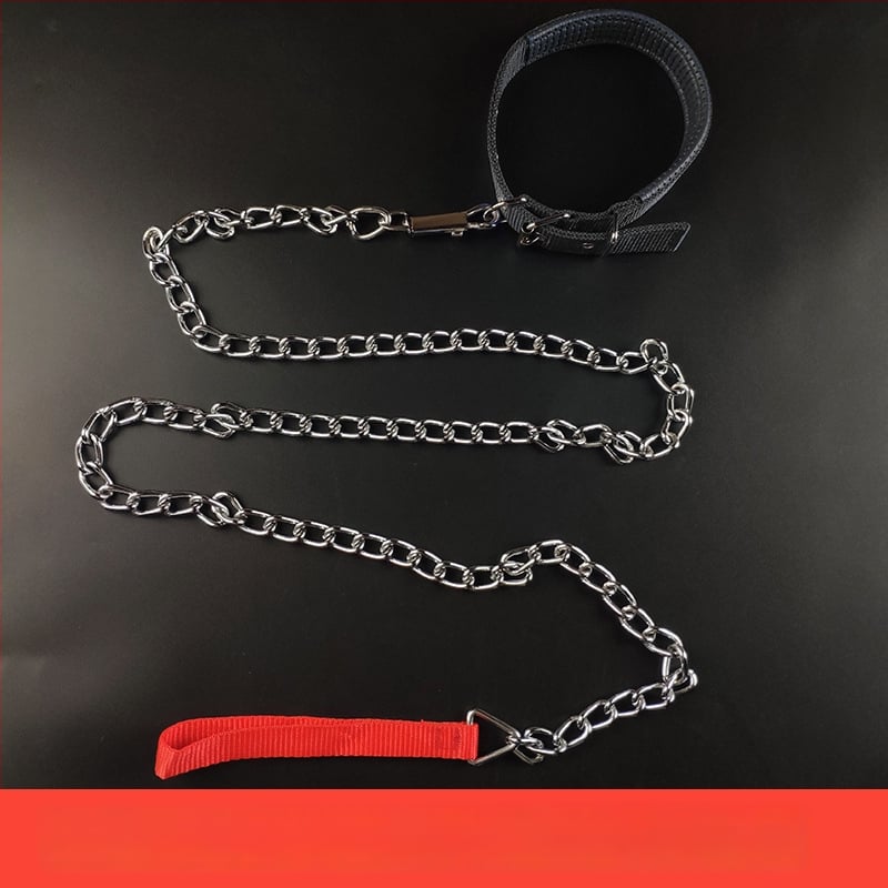 Kutyapóráz vaslánccal – háziállatokhoz való lánc, kötél, medállal