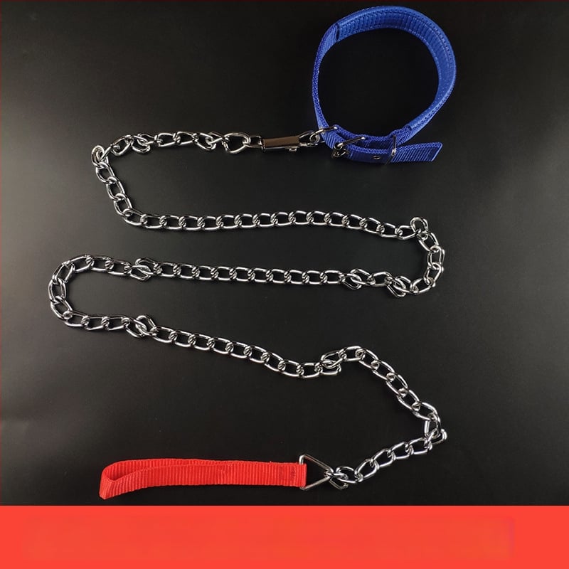 Kutyapóráz vaslánccal – háziállatokhoz való lánc, kötél, medállal