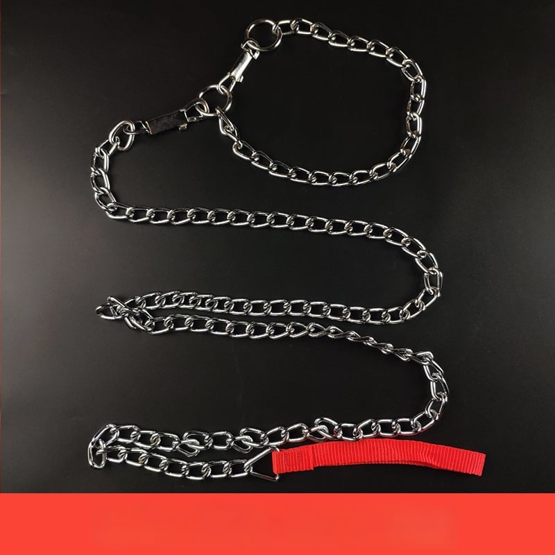 Kutyapóráz vaslánccal – háziállatokhoz való lánc, kötél, medállal