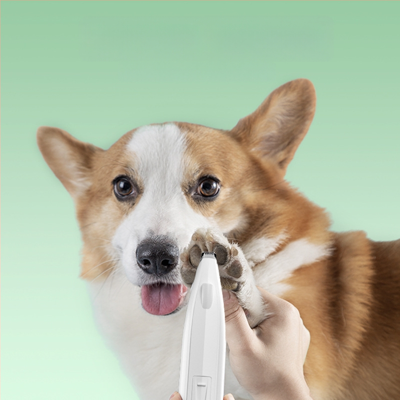 Nerve Cat trimmer electric pentru labele animalelor de companie cu LED – corp din plastic, pentru câini și pisici