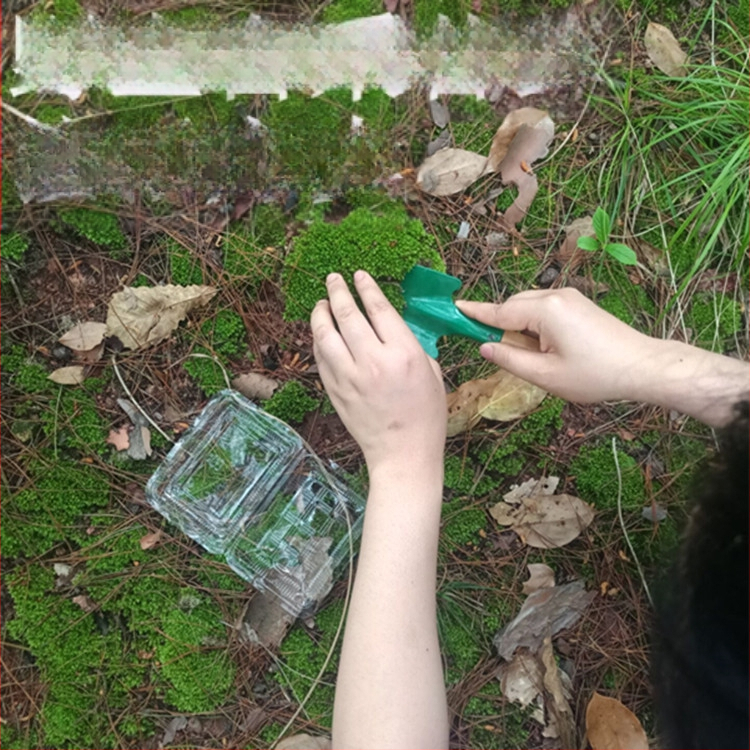 Muș pentru micro-peisaj într-o sticlă ecologică, muș de grădină, ambalat în cutii sau la bax