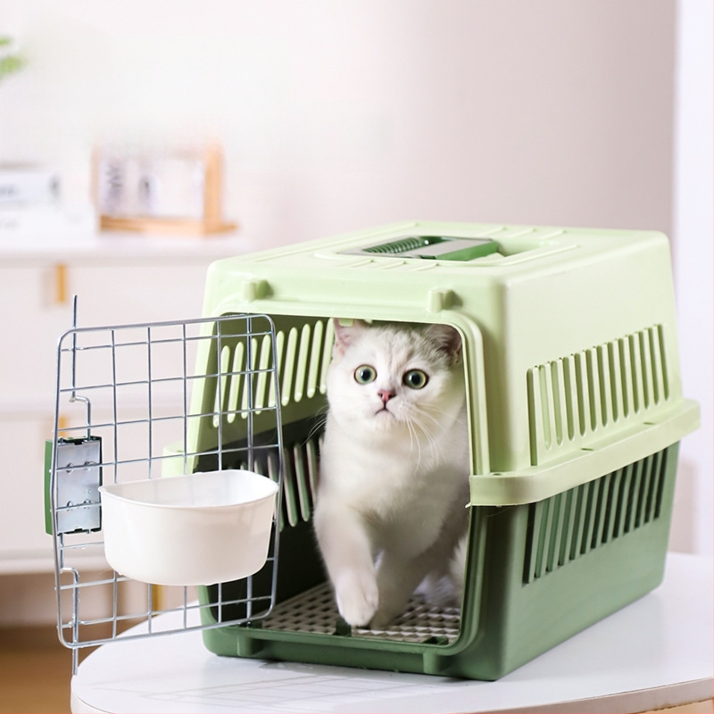 Carrier din plastic pentru animale, 48L, model Cartoon, transport pentru pisici și câini