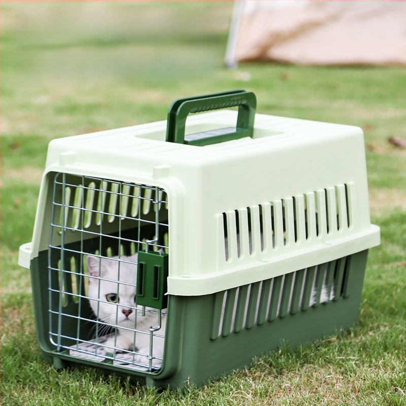 Carrier din plastic pentru animale, 48L, model Cartoon, transport pentru pisici și câini