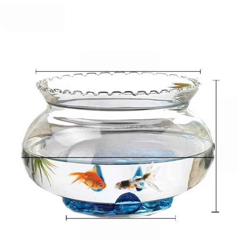 Üvegből készült kerek asztali akvárium aranyhalaknak hidroponikus növény-díszítéssel (Anyag: Üveg; Forma: Kör; Elhelyezés: Asztali; Funkció: Hidroponikus növény-díszítés)