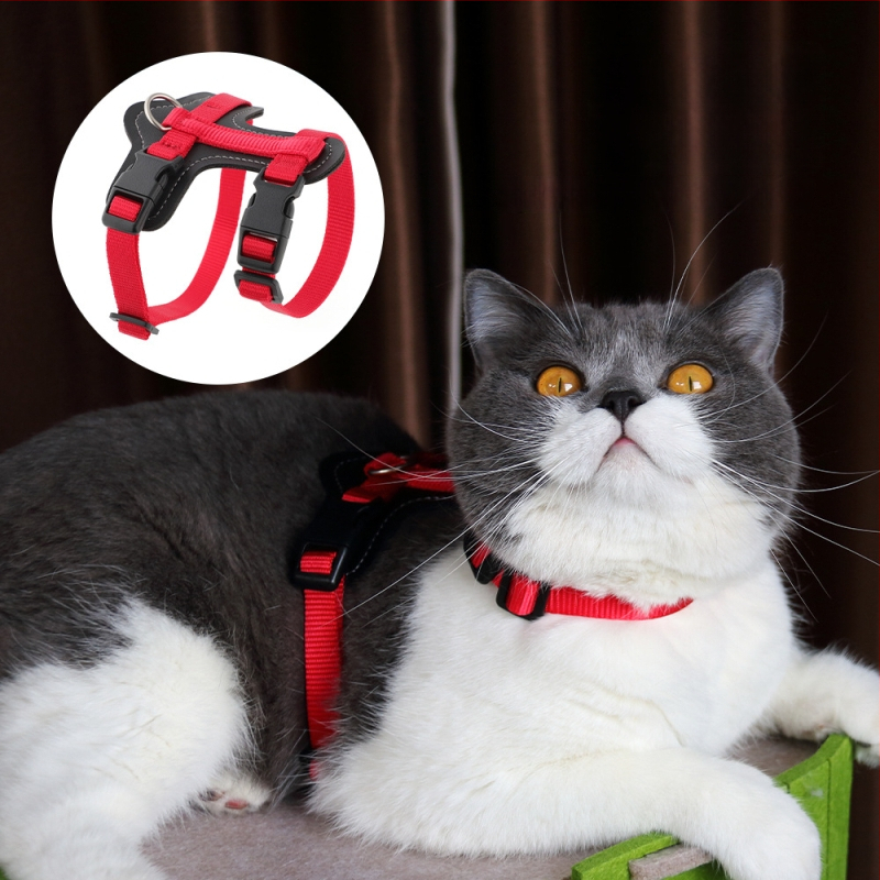 Macska mellkasi pánt nylonból, nemhúzódó, Cool márka, testreszabható csomagolási mennyiség