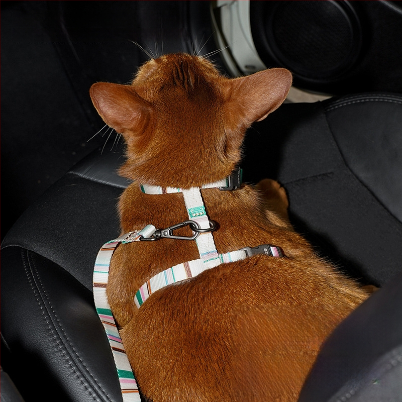 Zeze I-formájú állítható, szakadás elleni kutyapóráz, mellény-stílusú, kis testű kutyáknak; anyag: poliészter, poliaketal gyanta, cinkötvözet