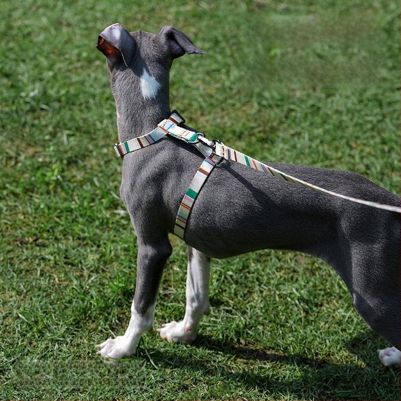 Zeze I-formájú állítható, szakadás elleni kutyapóráz, mellény-stílusú, kis testű kutyáknak; anyag: poliészter, poliaketal gyanta, cinkötvözet