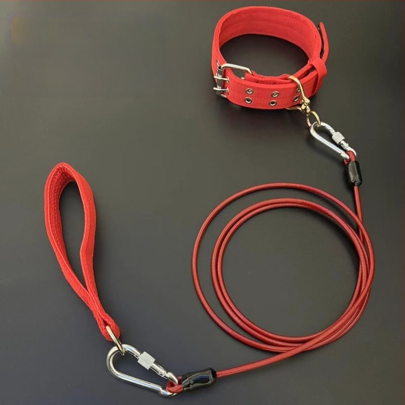 Kutyapóráz acéllánccal, anti harapás, nem visszahúzható, kiegészítő