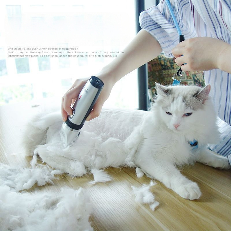 Clipper electric pentru câini și pisici de Group wood – model Group wood, instrument de îngrijire a animalelor de companie