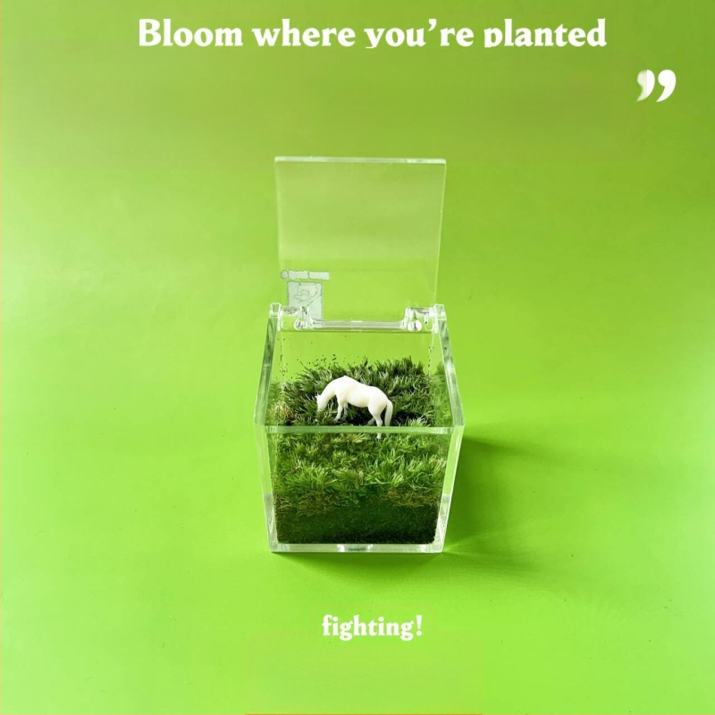 Peisaj mic cu mușchi pentru birou – realizat manual, personalizare logo disponibil, cadou pentru birou