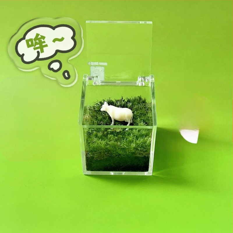 Peisaj mic cu mușchi pentru birou – realizat manual, personalizare logo disponibil, cadou pentru birou