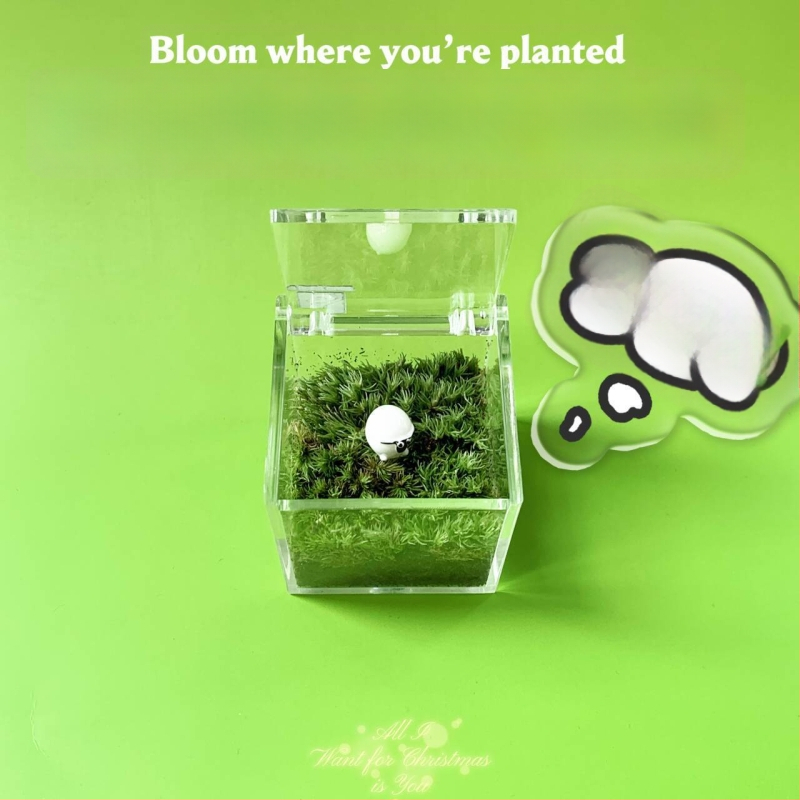 Peisaj mic cu mușchi pentru birou – realizat manual, personalizare logo disponibil, cadou pentru birou